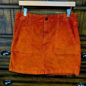 Fall colors are in shirt